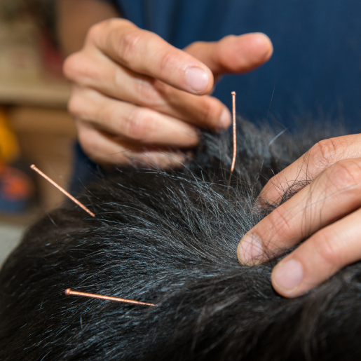 Veterinary Acupuncture