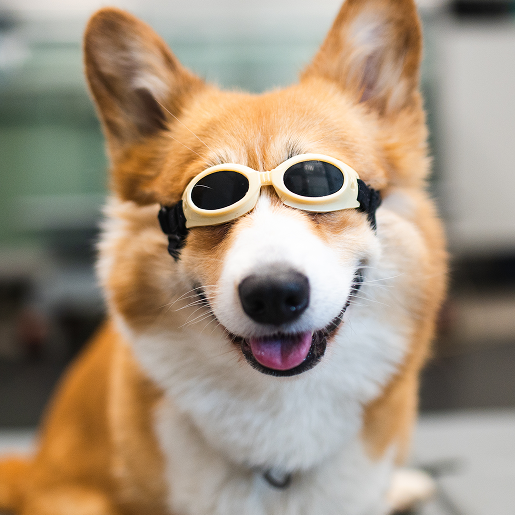 Laser Therapy