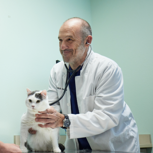 Preventive Care & Pet Wellness