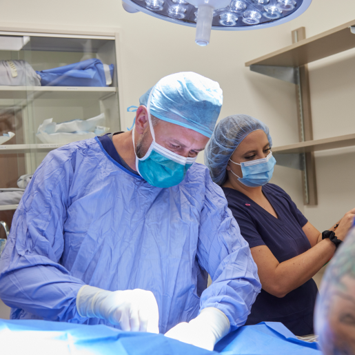 Veterinary Surgery