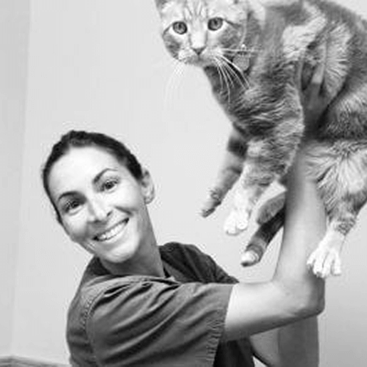 Dr. Laura Lambruschi